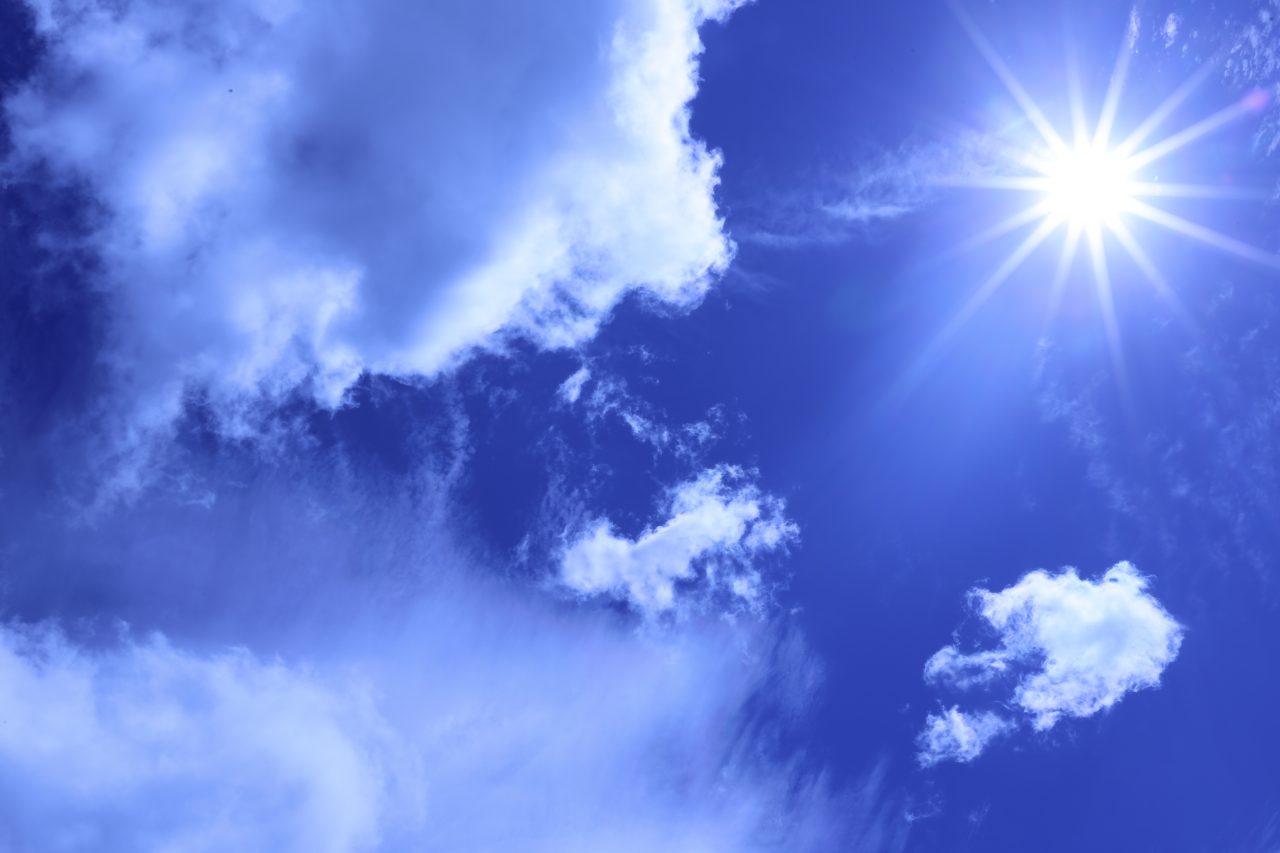 MG_9763-1280x853.jpg MG_9763-1280x853.jpg