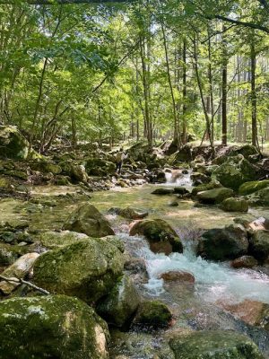 最高の避暑地