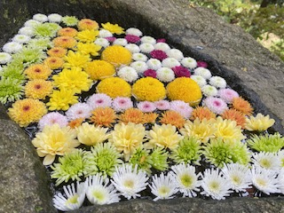 戸沢八幡神社　三匹獅子舞い奉納