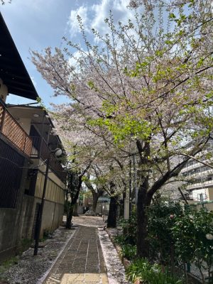 心のバランス