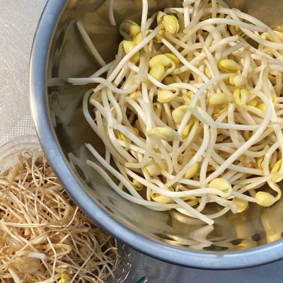 豆もやし