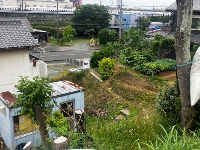 マジ春が無いね。