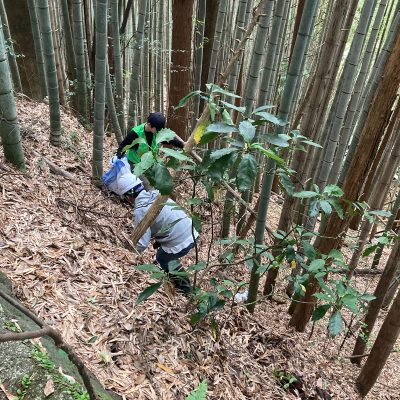 山の清掃