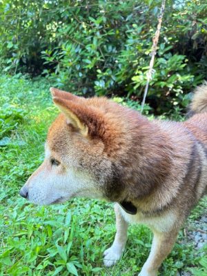 嵐の前の静けさ？？？