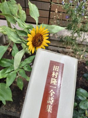ひまわりと詩集