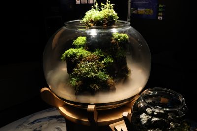 球体パルダリウム