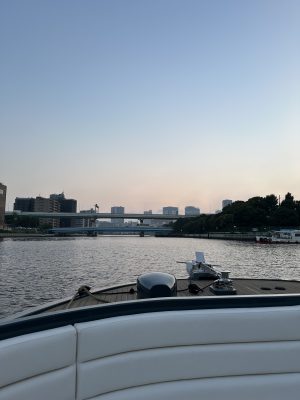 クルージング