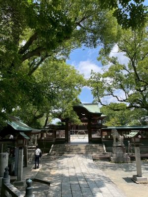 祝半年完走、ご無事でなによりでした。