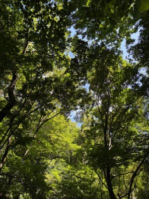 8月最後の避暑