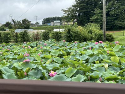 お盆やすみ