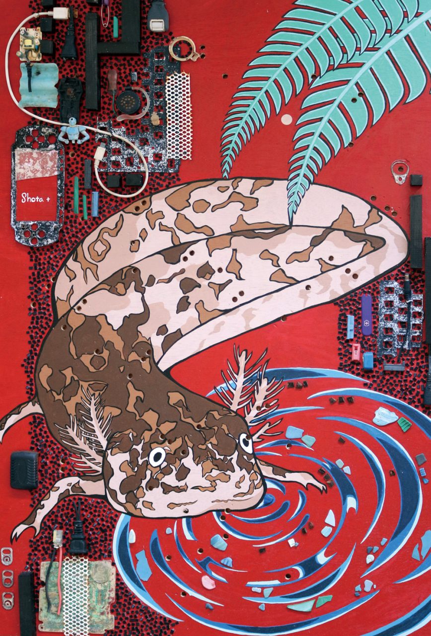 オオサンショウウオが棲む川 – 上品倶楽部