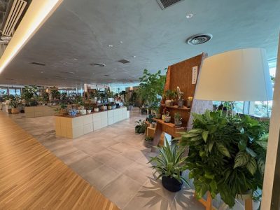 屋内散歩
