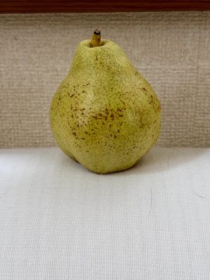 洋ナシに救われた